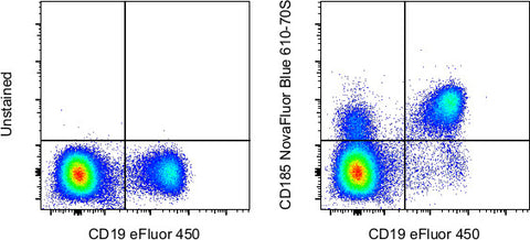 CD185 (CXCR5) Monoclonal Antibody (MU5UBEE), NovaFluor™ Blue 610-70S