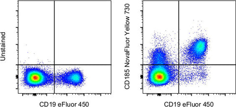 CD185 (CXCR5) Monoclonal Antibody (MU5UBEE), NovaFluor™ Yellow 730