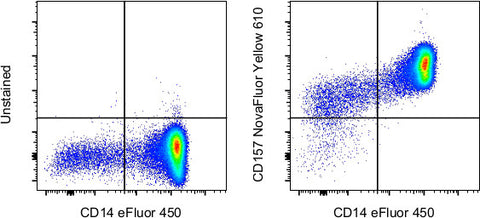 CD157 Monoclonal Antibody (eBioSY11B5 (SY11B5)), NovaFluor™ Yellow 610