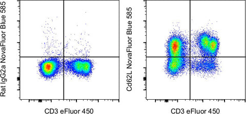 CD62L (L-Selectin) Monoclonal Antibody (MEL-14), NovaFluor™ Blue 585