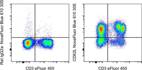 CD62L (L-Selectin) Monoclonal Antibody (MEL-14), NovaFluor™ Blue 610-30S