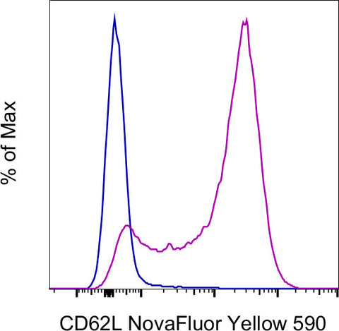 CD62L (L-Selectin) Monoclonal Antibody (MEL-14), NovaFluor™ Yellow 590