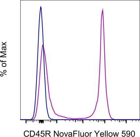 CD45R (B220) Monoclonal Antibody (RA3-6B2), NovaFluor™ Yellow 590