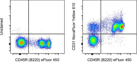 CD31 (PECAM-1) Monoclonal Antibody (390), NovaFluor™ Yellow 610