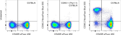 CD90.2 (Thy-1.2) Monoclonal Antibody (53-2.1), NovaFluor™ Blue 555