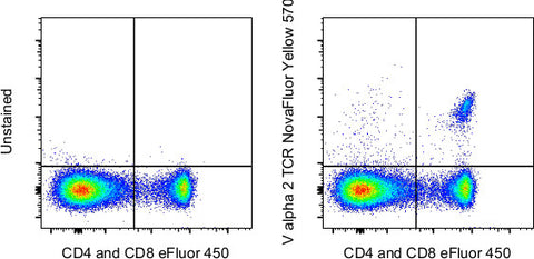 TCR V alpha 2 Monoclonal Antibody (B20.1), NovaFluor™ Yellow 570